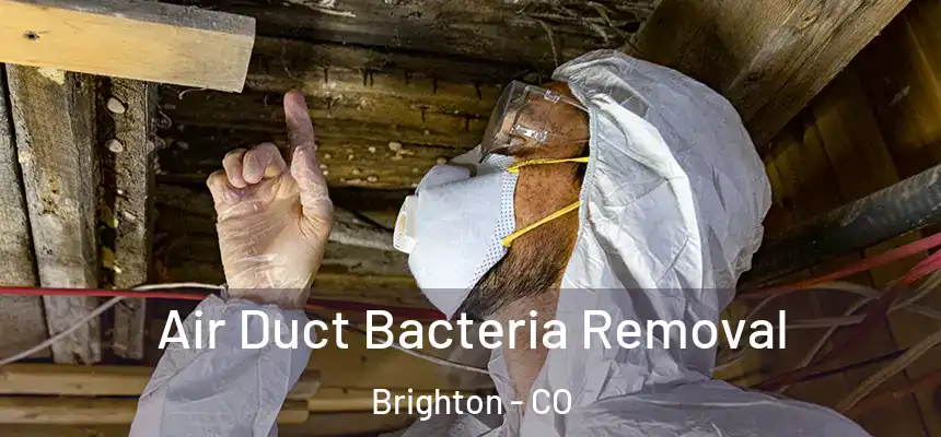 Air Duct Bacteria Removal Brighton - CO