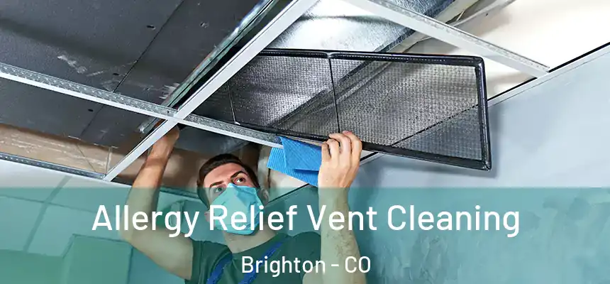  Allergy Relief Vent Cleaning Brighton - CO