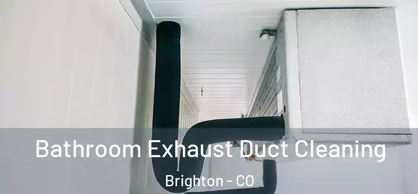  Bathroom Exhaust Duct Cleaning Brighton - CO