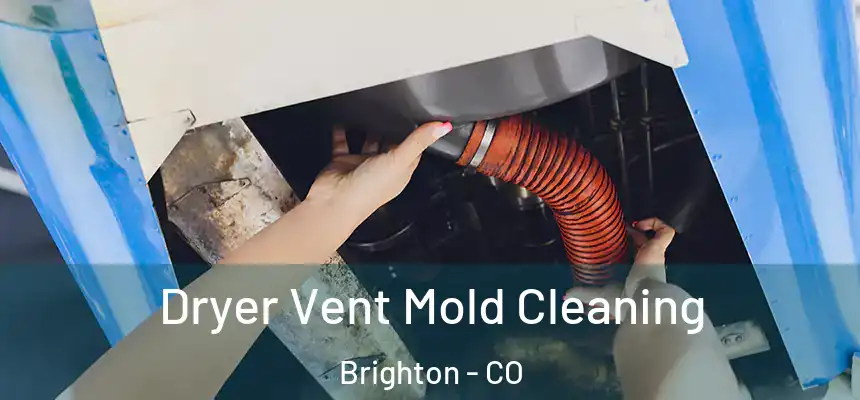  Dryer Vent Mold Cleaning Brighton - CO