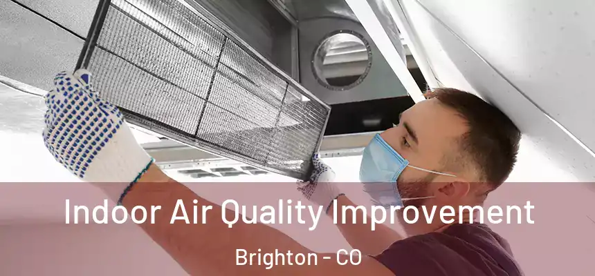 Indoor Air Quality Improvement Brighton - CO
