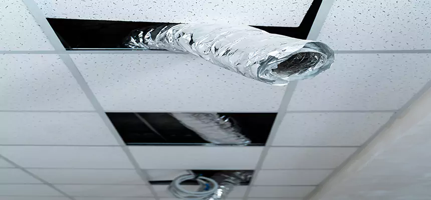 Our Air Duct Pet Hair Removal Services in Brighton, CO