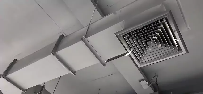 Our Pest Removal From Ducts Services in Brighton, CO