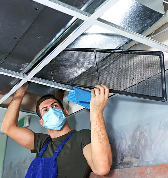 About Air Duct Bacteria Removal in Brighton