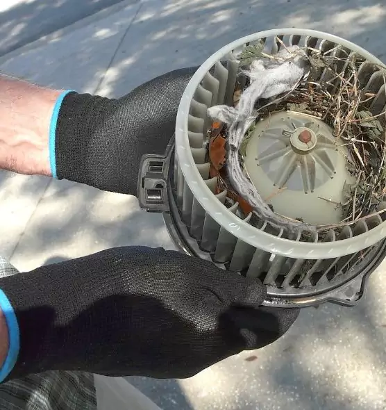 About Air Duct Mice Removal in Brighton, CO