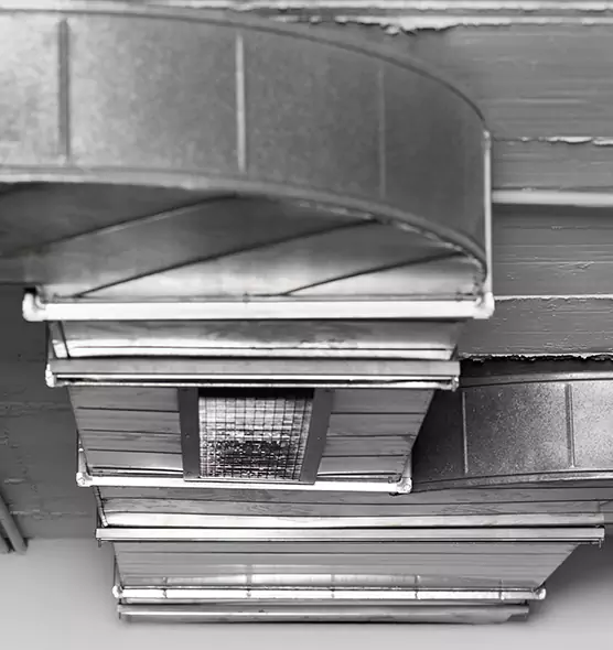 Professional Air Duct Pet Hair Removal in Brighton, CO