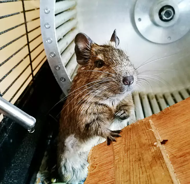 Why Homeowners & Businesses Trust Us Brighton, CO