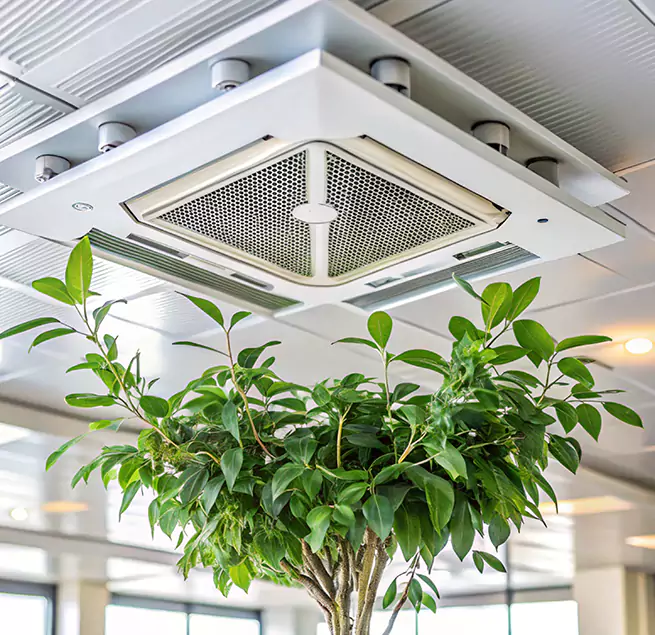 Why Homeowners & Businesses Trust Us in Brighton, CO?